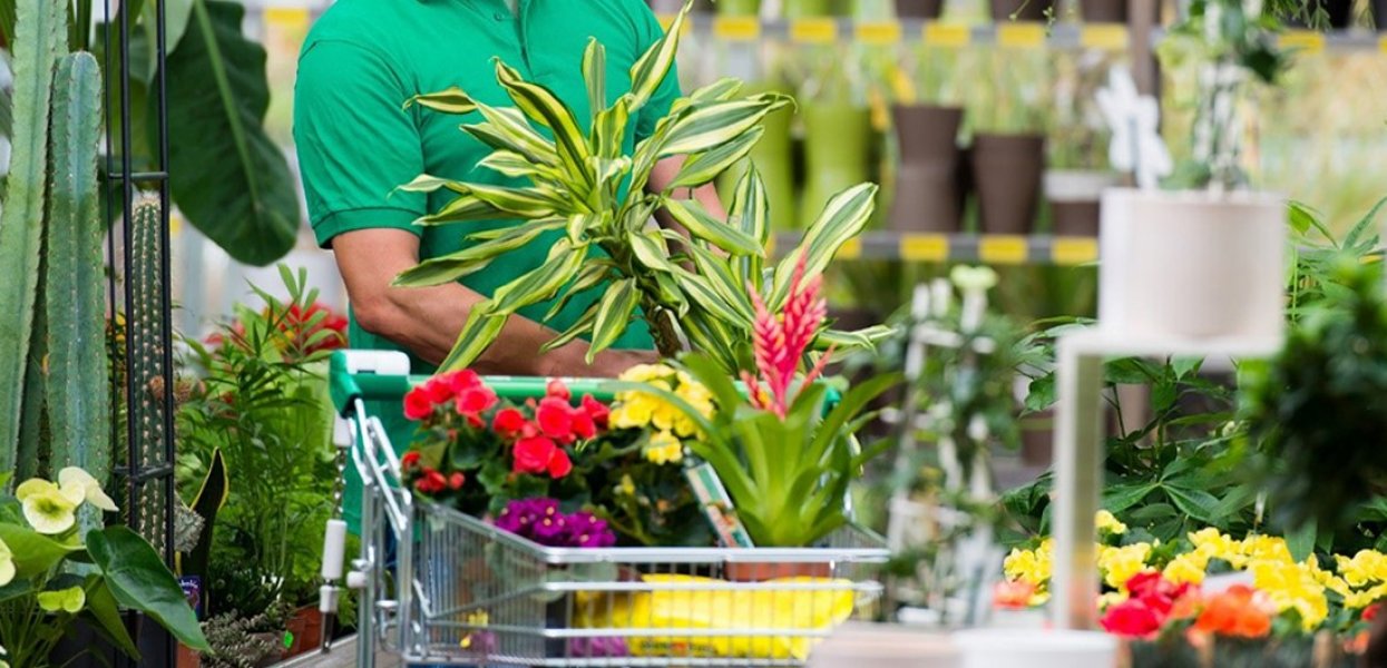 Utilisation de la PLV en jardinerie : le présentoir métallique pour aménager votre espace de vente